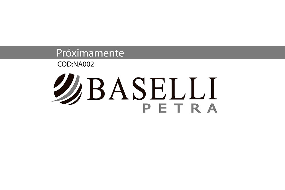 Pastelon Baselli Recto 